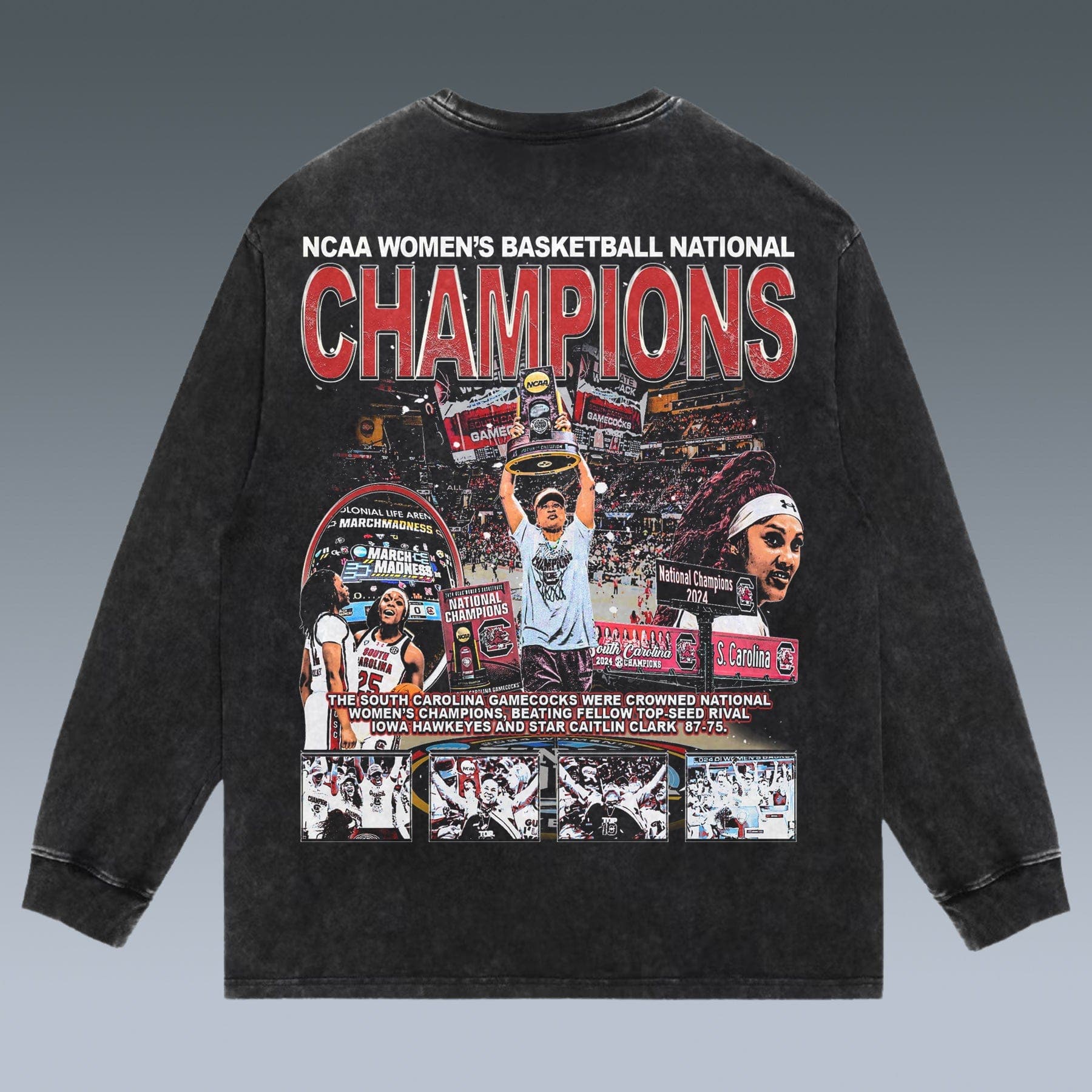 VINTAGE LONG SLEEVE TEE | 2024-SC-GAMECOCKS