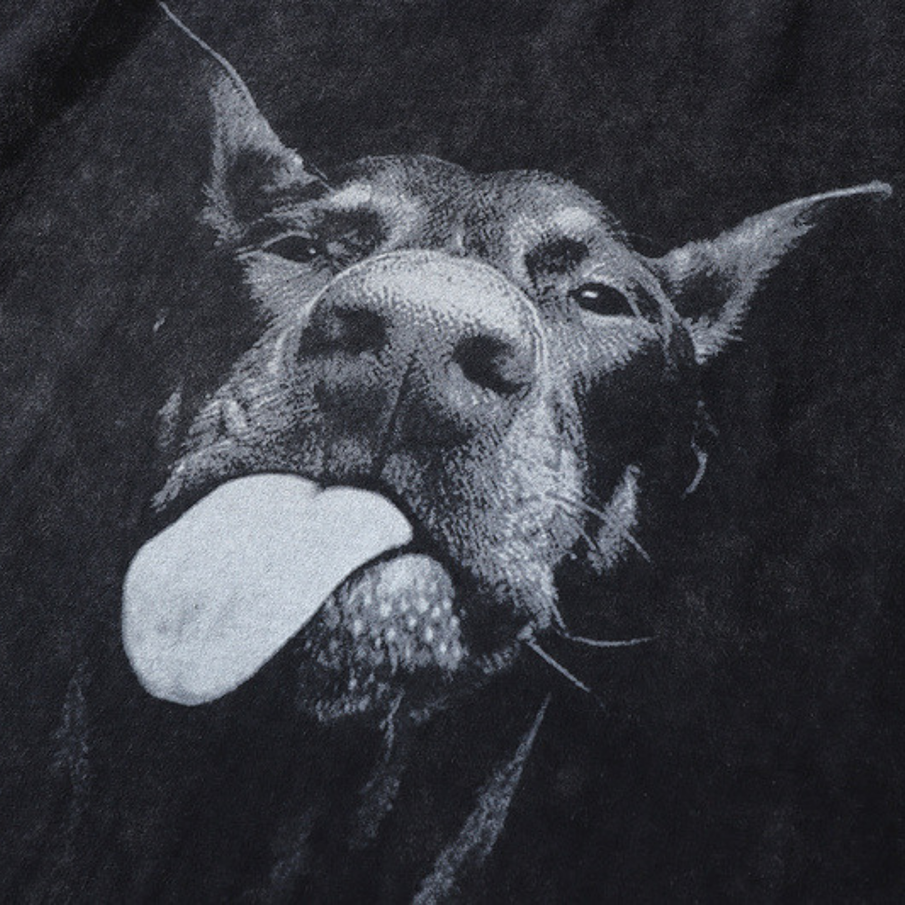 VINTAGE TEE | DOBERMAN